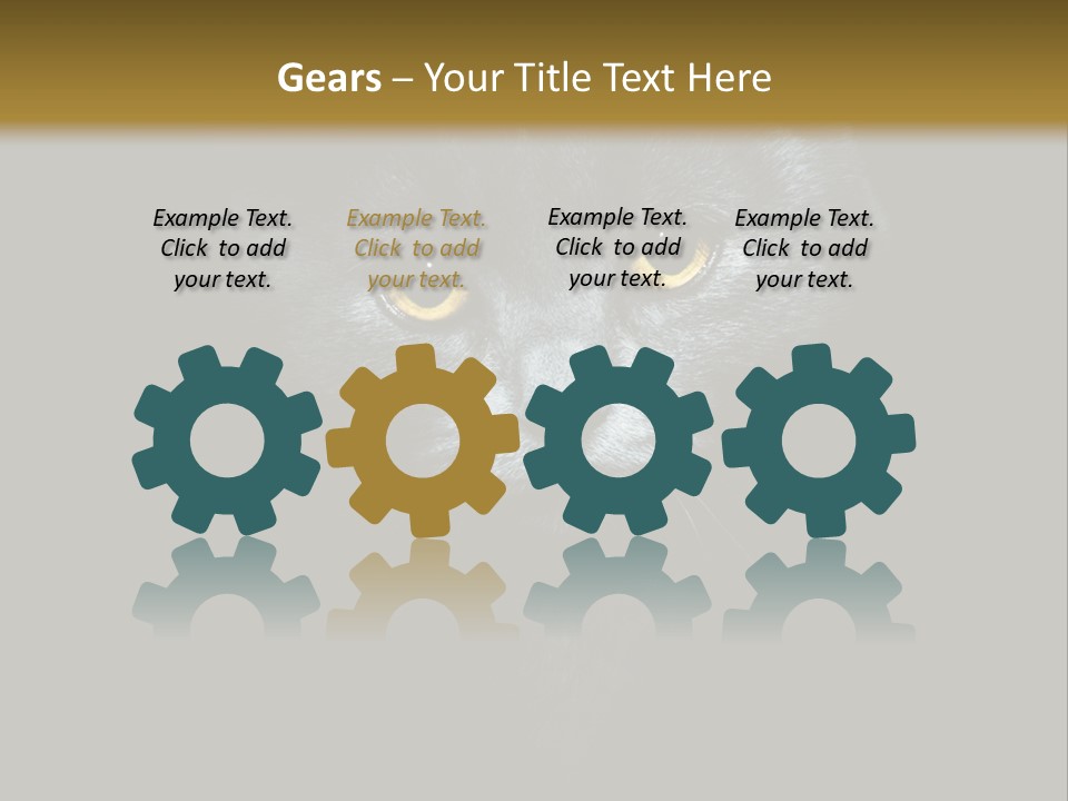 Square Urban Modern PowerPoint Template