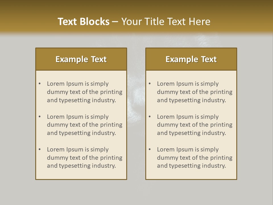 Square Urban Modern PowerPoint Template