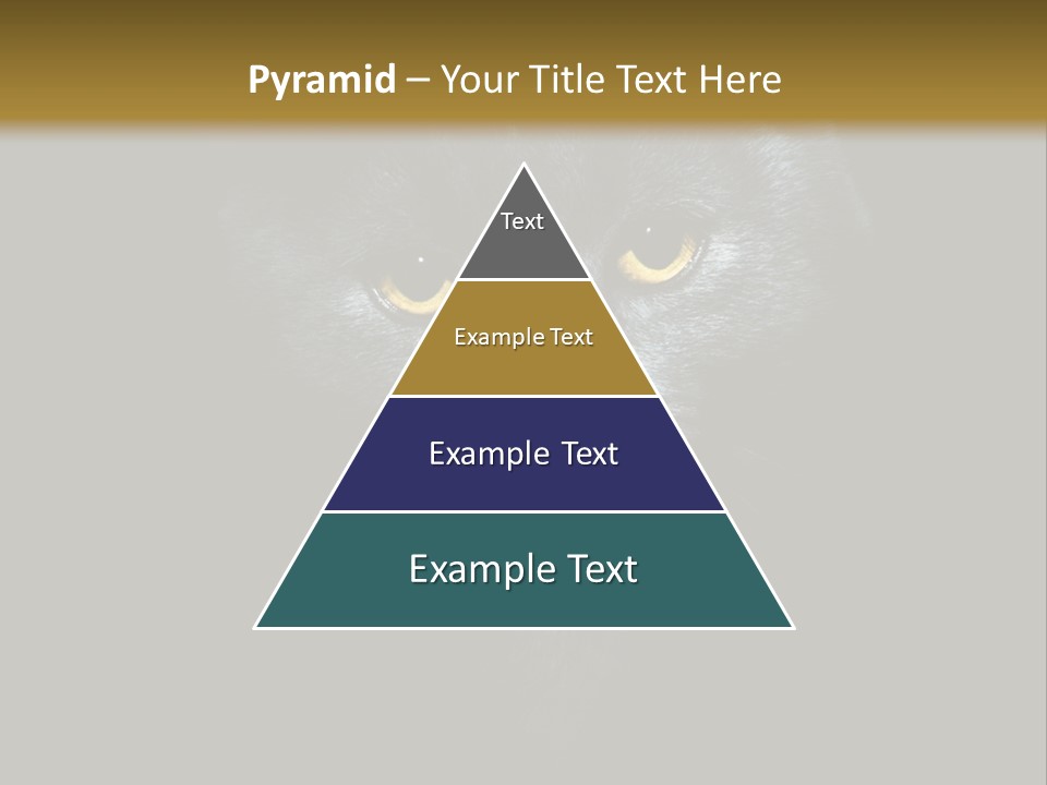 Square Urban Modern PowerPoint Template