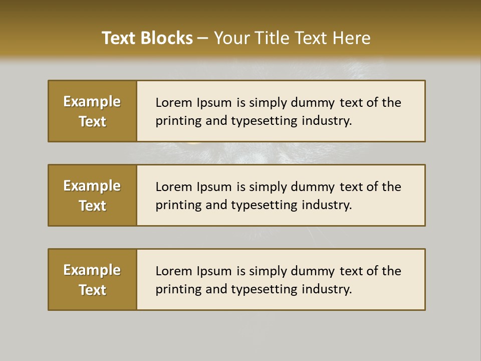 Square Urban Modern PowerPoint Template