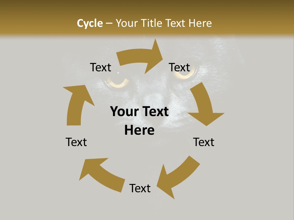 Square Urban Modern PowerPoint Template