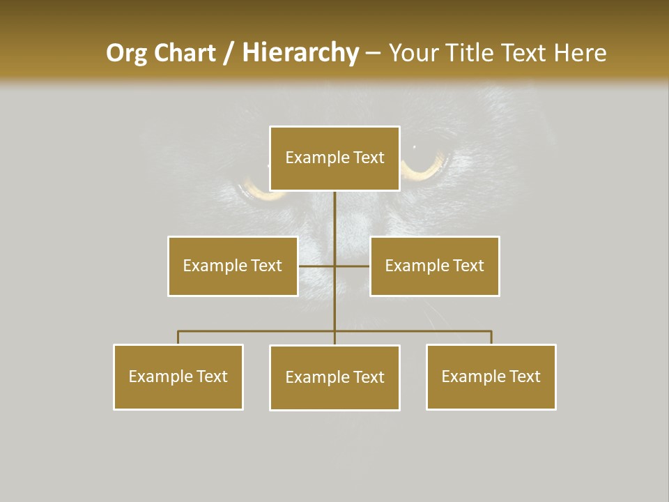 Square Urban Modern PowerPoint Template