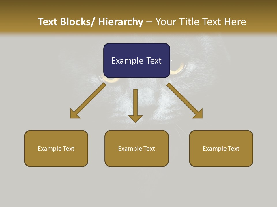 Square Urban Modern PowerPoint Template