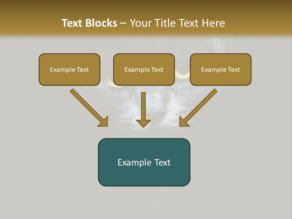 Square Urban Modern PowerPoint Template