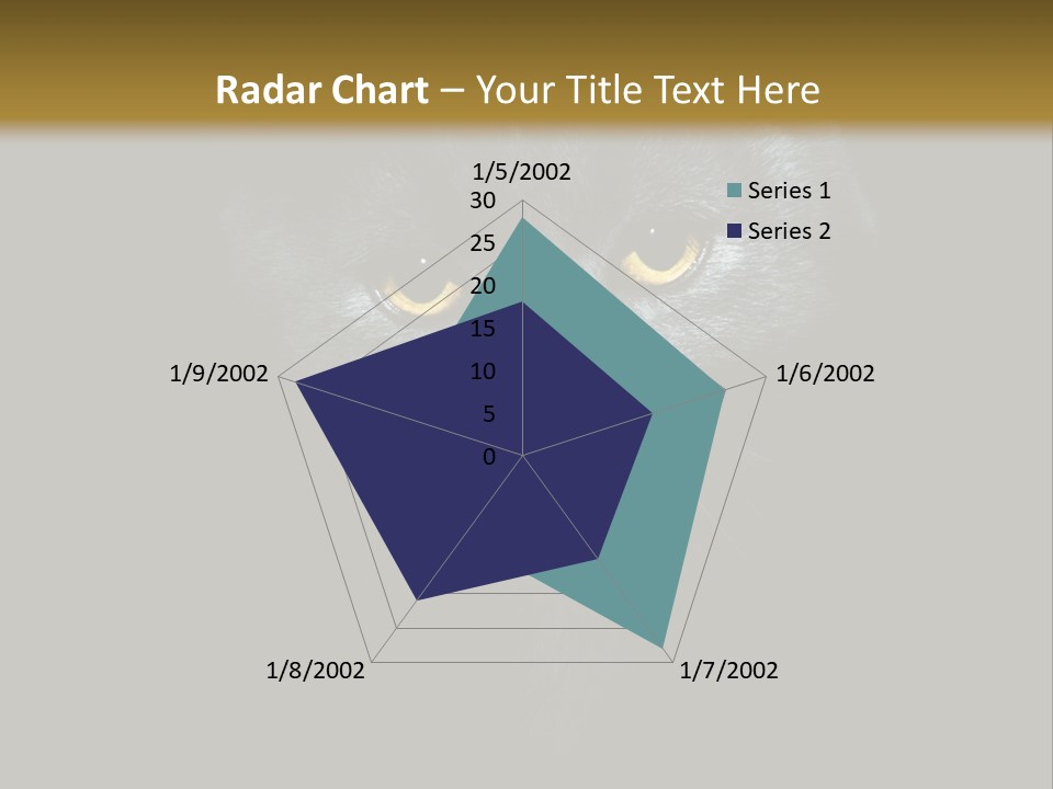 Square Urban Modern PowerPoint Template