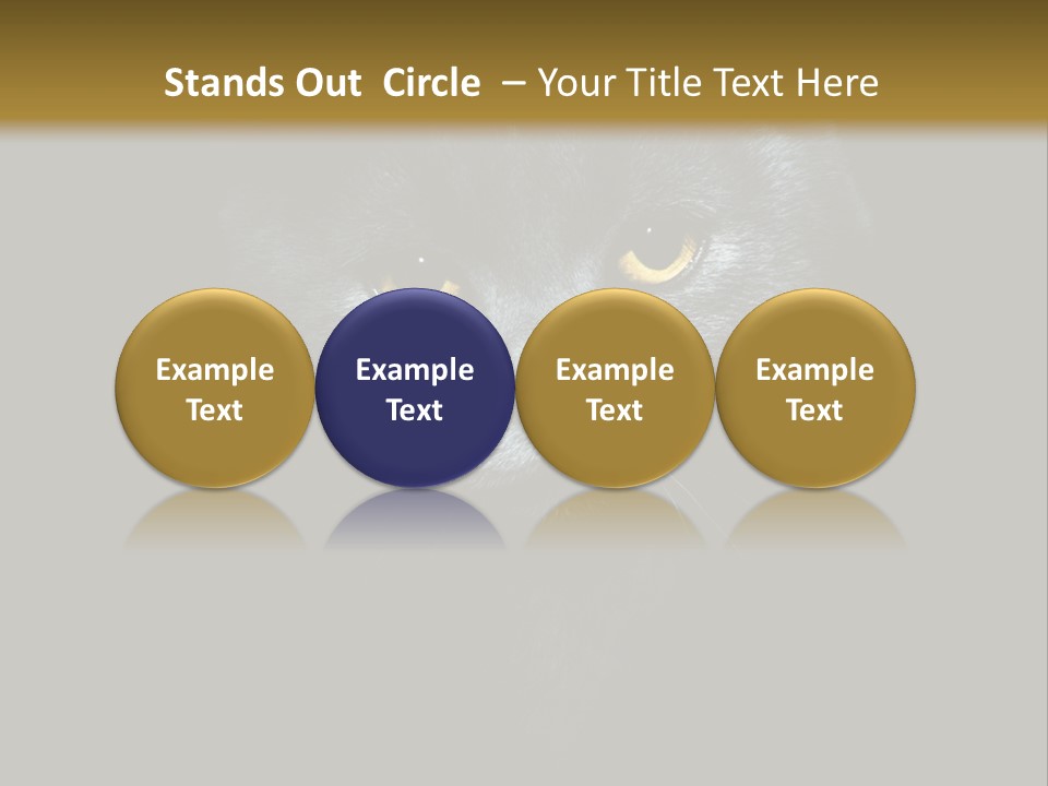 Square Urban Modern PowerPoint Template