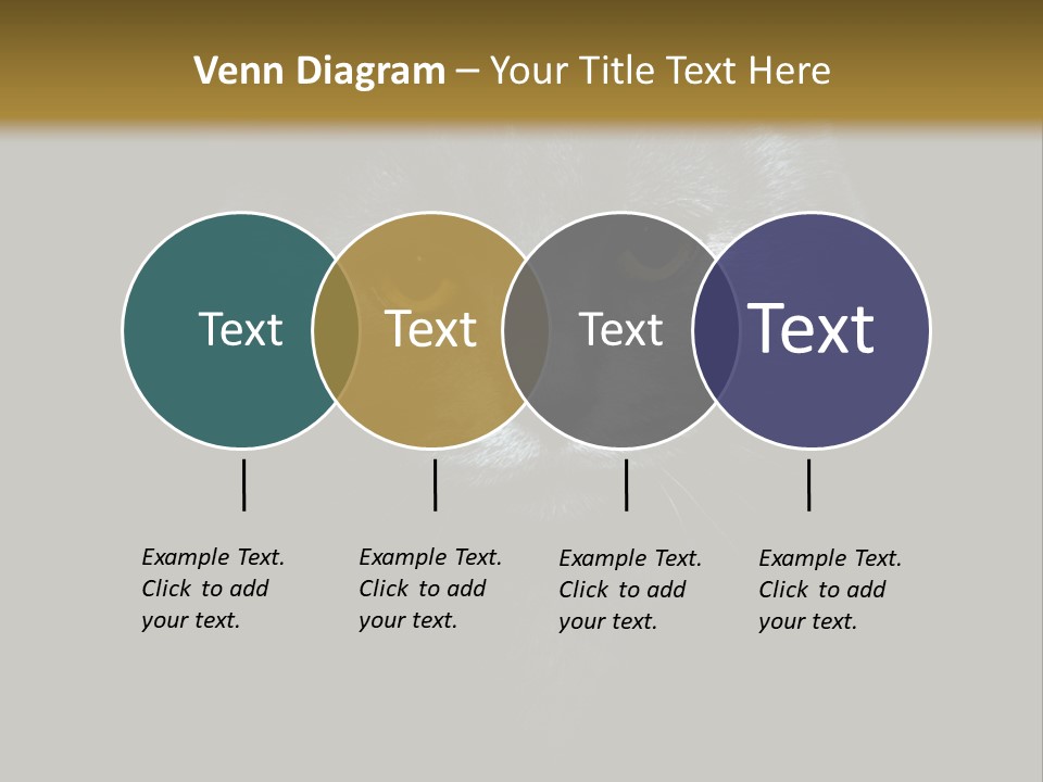 Square Urban Modern PowerPoint Template