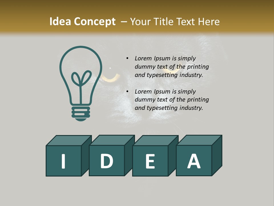 Square Urban Modern PowerPoint Template
