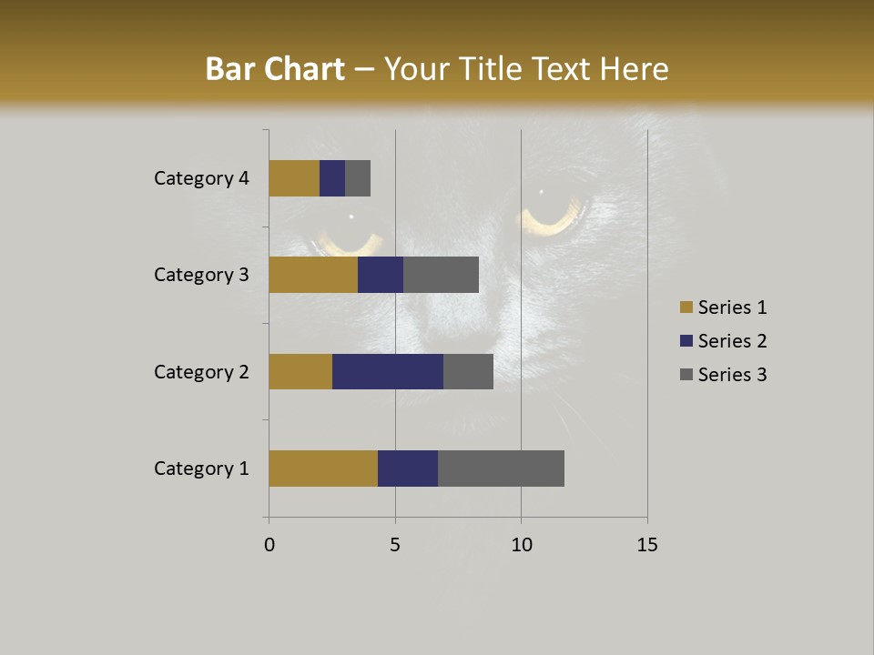 Square Urban Modern PowerPoint Template