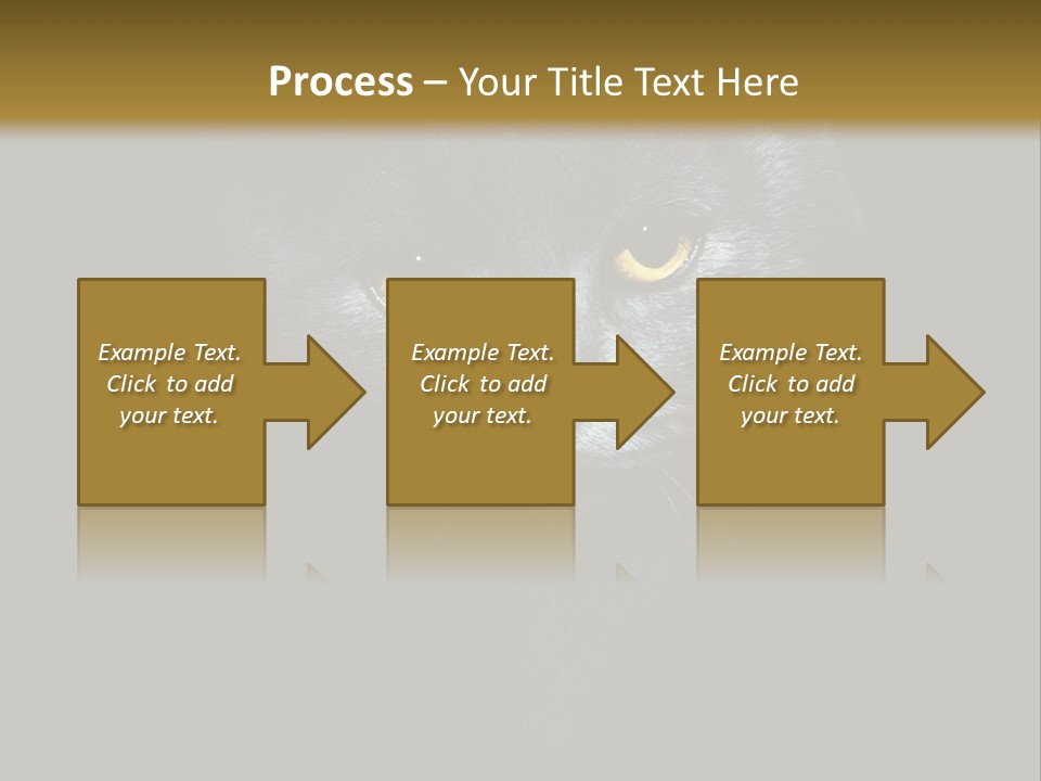 Square Urban Modern PowerPoint Template