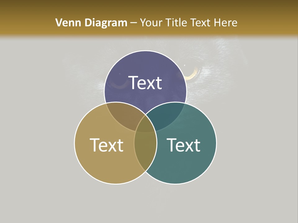 Square Urban Modern PowerPoint Template