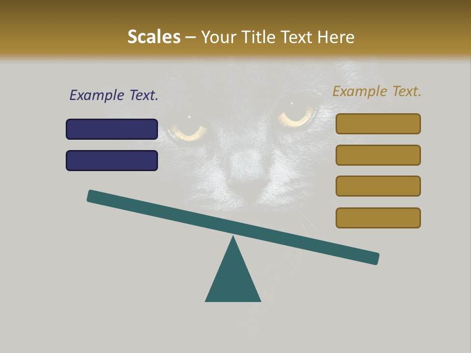 Square Urban Modern PowerPoint Template