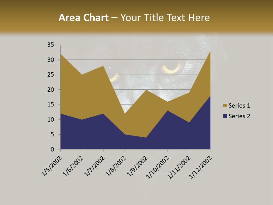 Square Urban Modern PowerPoint Template