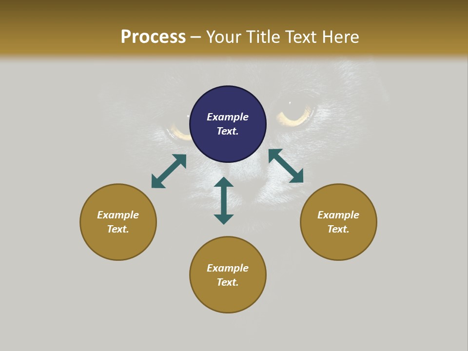 Square Urban Modern PowerPoint Template