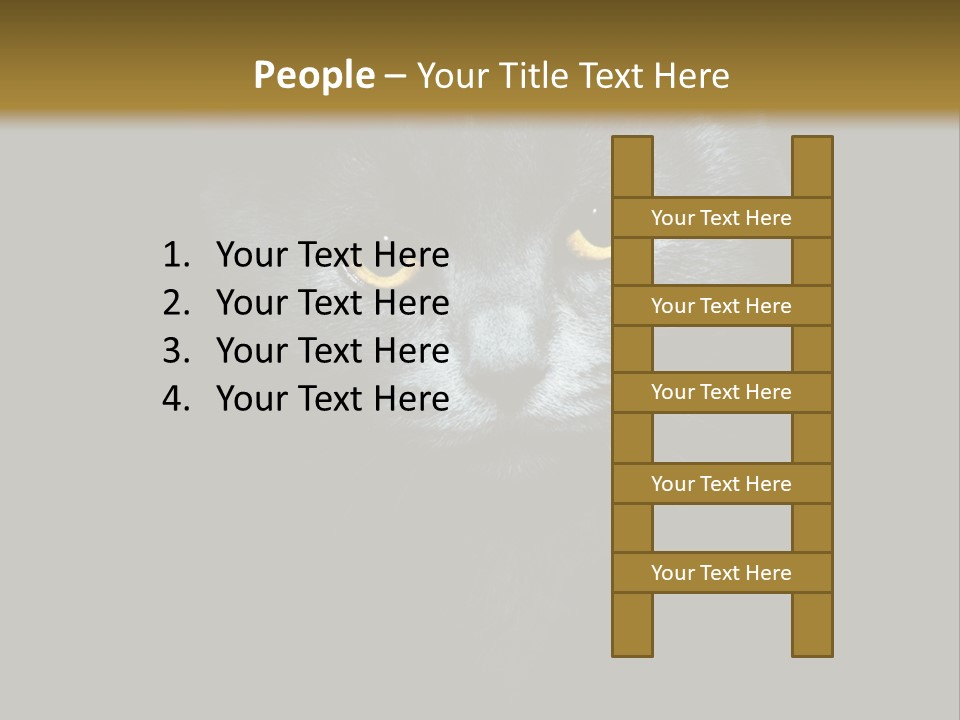 Square Urban Modern PowerPoint Template