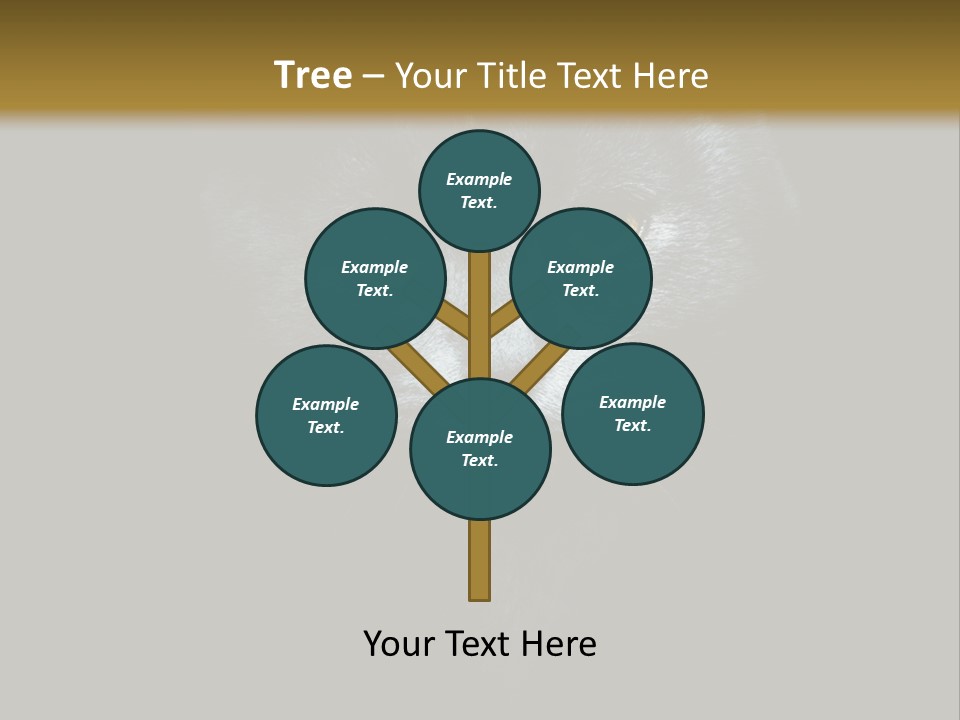 Square Urban Modern PowerPoint Template