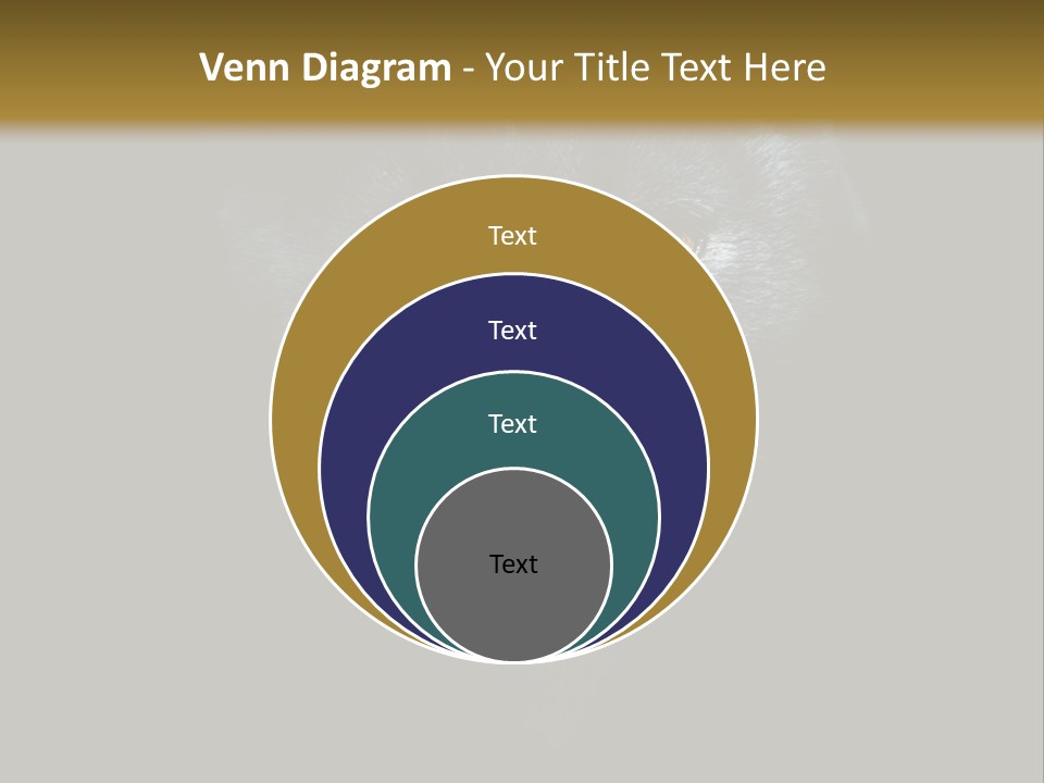 Square Urban Modern PowerPoint Template