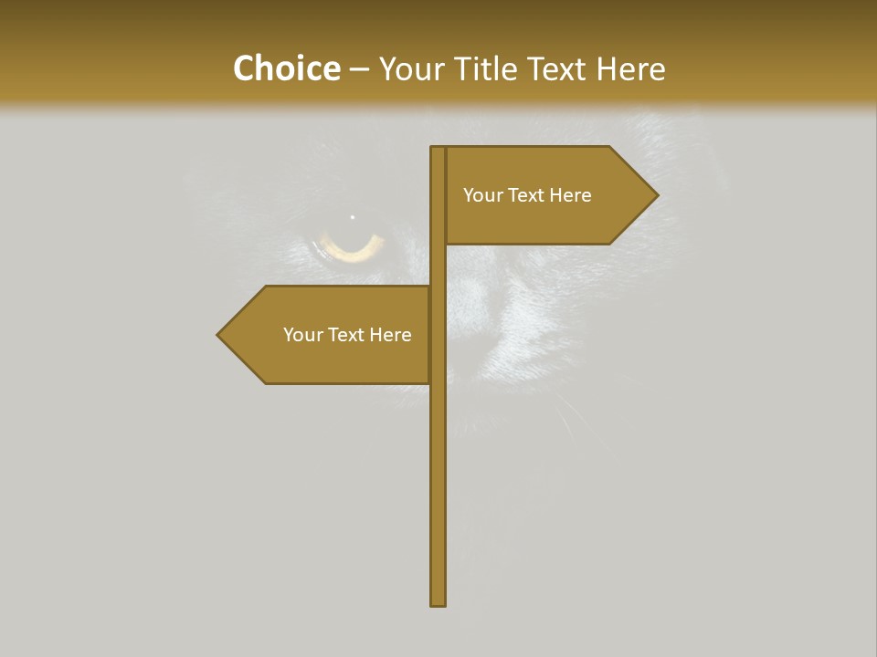 Square Urban Modern PowerPoint Template