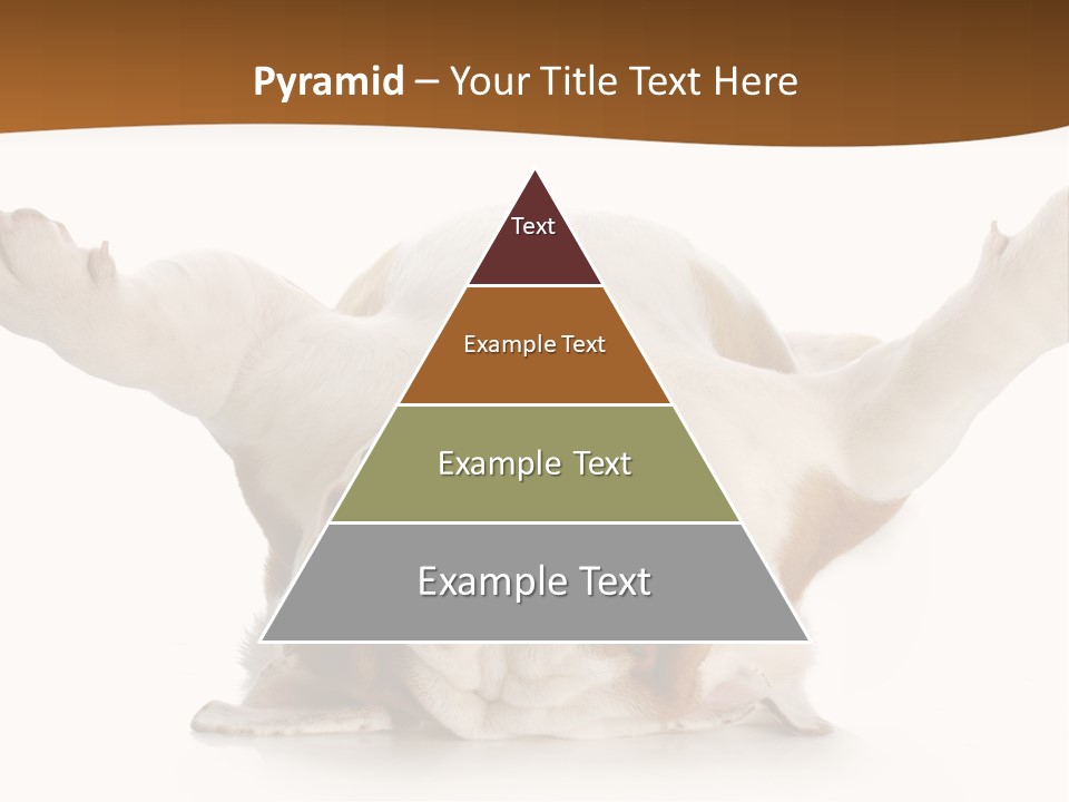 Background World Concept PowerPoint Template