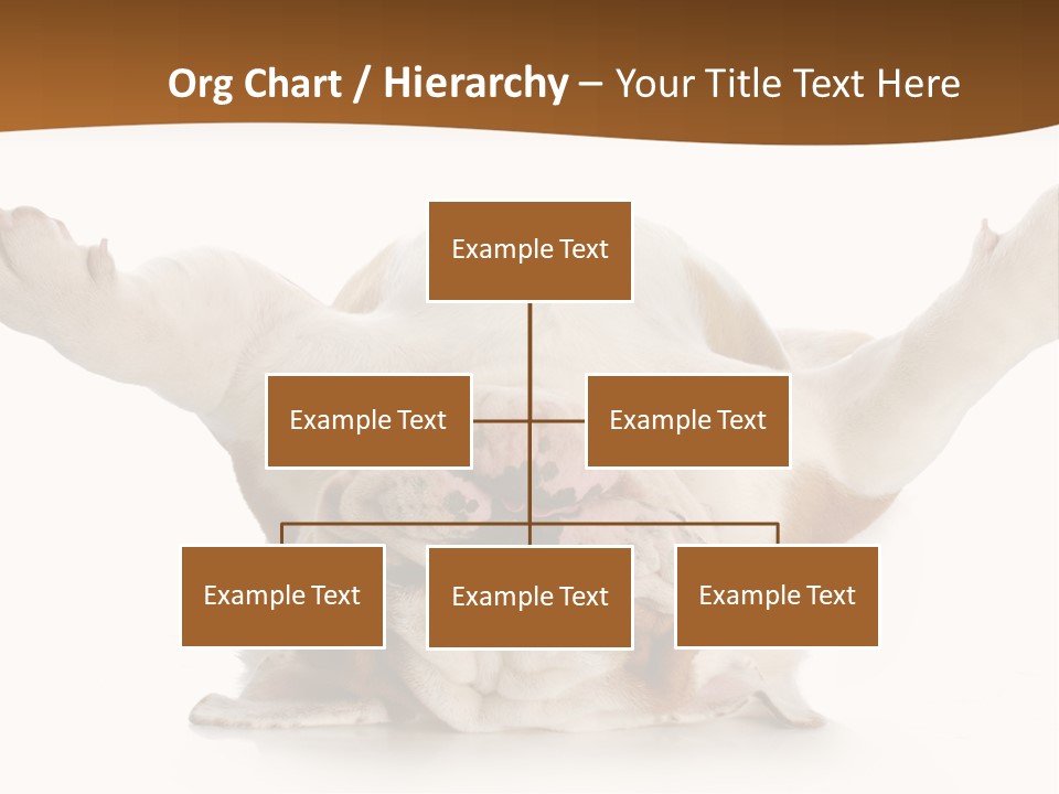 Background World Concept PowerPoint Template