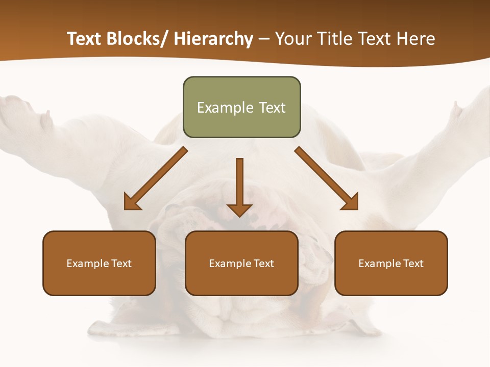 Background World Concept PowerPoint Template