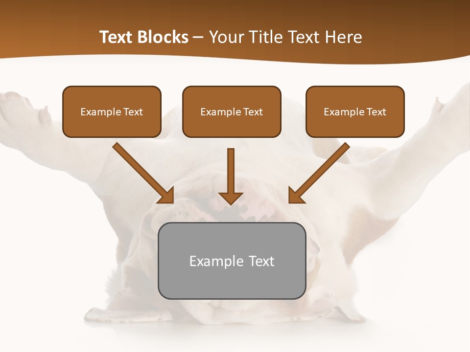 Background World Concept PowerPoint Template
