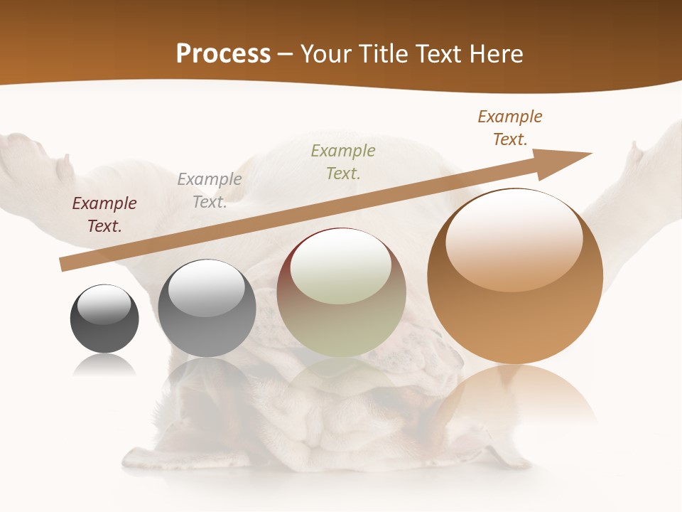 Background World Concept PowerPoint Template