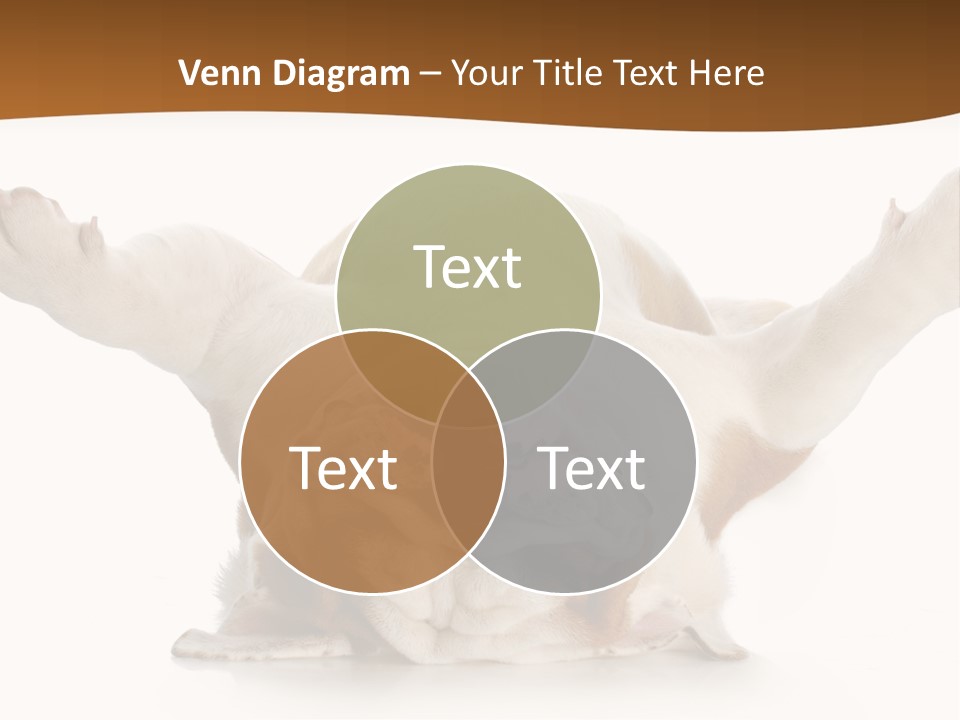 Background World Concept PowerPoint Template