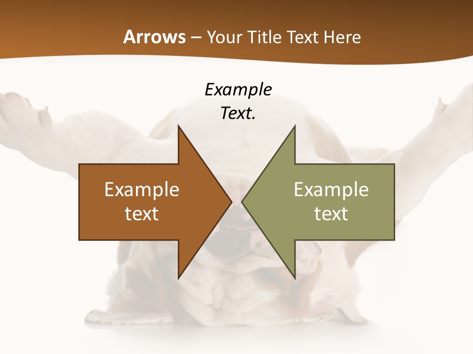 Background World Concept PowerPoint Template