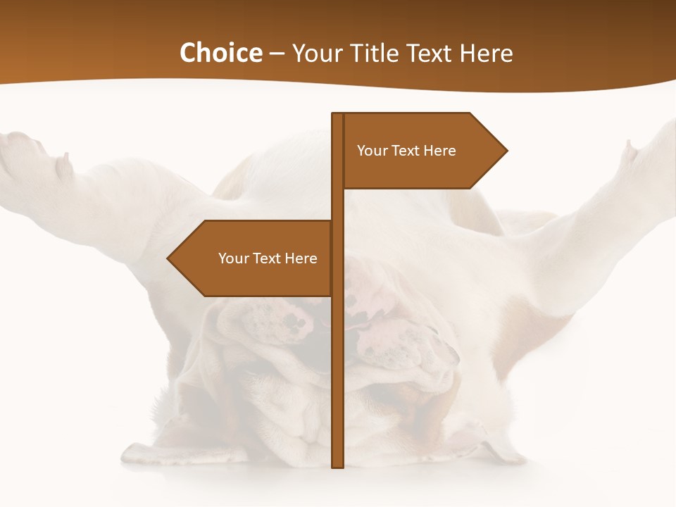 Background World Concept PowerPoint Template