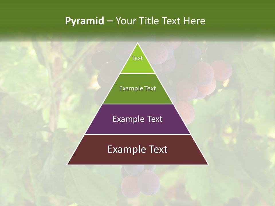 Render Urban Modern PowerPoint Template