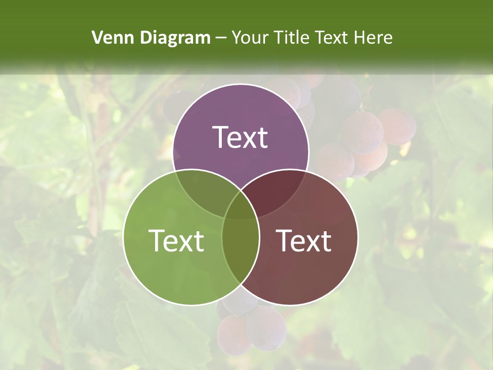 Render Urban Modern PowerPoint Template