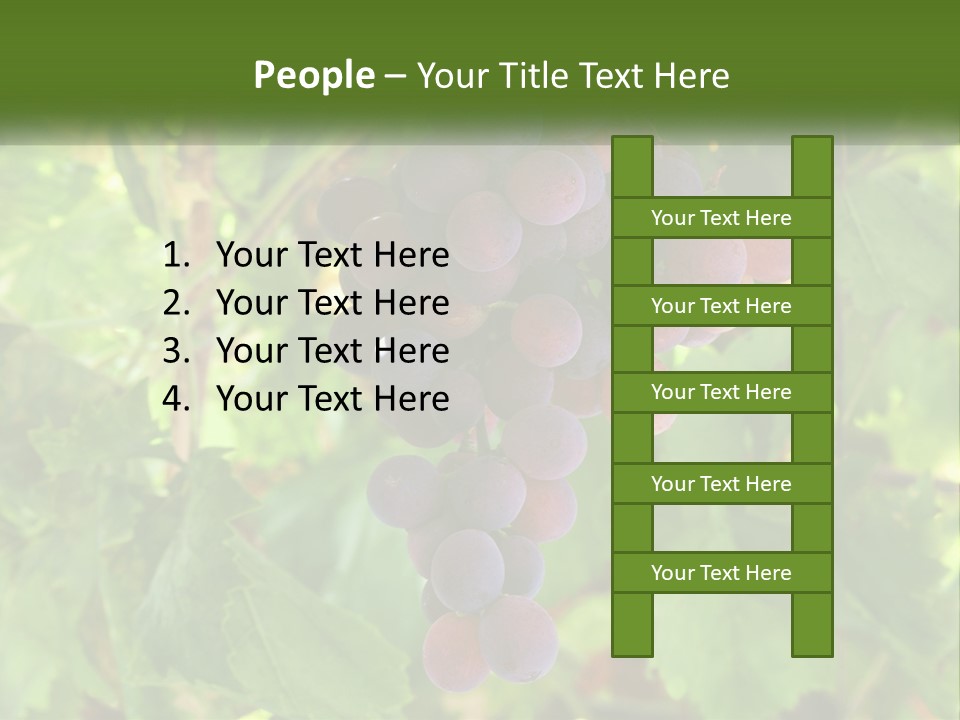 Render Urban Modern PowerPoint Template