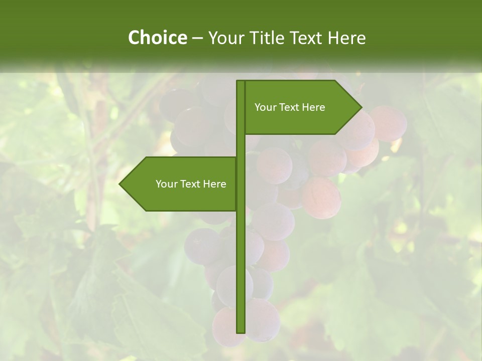 Render Urban Modern PowerPoint Template