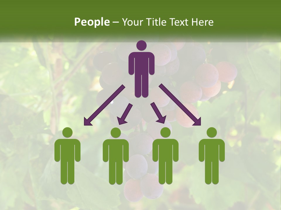 Render Urban Modern PowerPoint Template