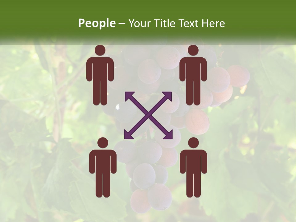 Render Urban Modern PowerPoint Template