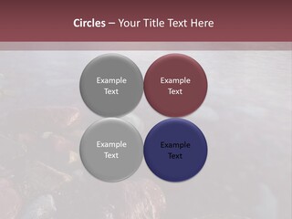 Architecture Grey Tall PowerPoint Template