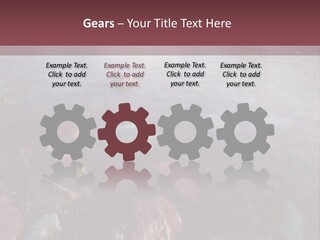 Architecture Grey Tall PowerPoint Template