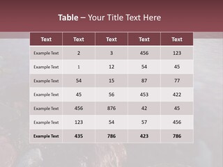 Architecture Grey Tall PowerPoint Template