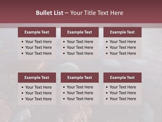 Architecture Grey Tall PowerPoint Template