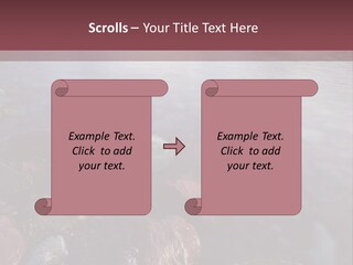 Architecture Grey Tall PowerPoint Template
