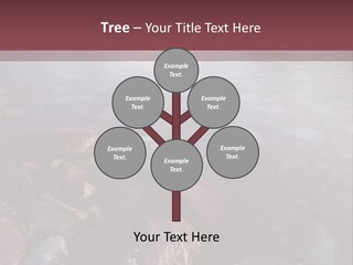 Architecture Grey Tall PowerPoint Template