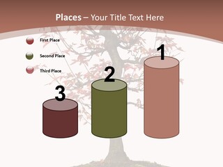 Big Abstract House PowerPoint Template