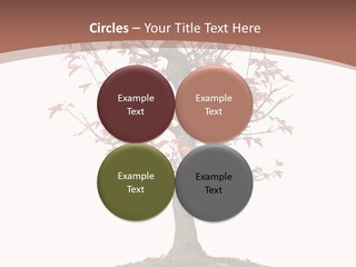 Big Abstract House PowerPoint Template