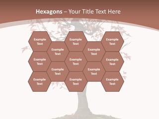 Big Abstract House PowerPoint Template