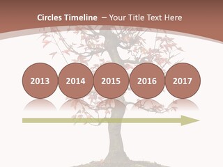 Big Abstract House PowerPoint Template