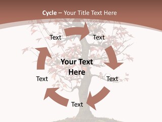 Big Abstract House PowerPoint Template