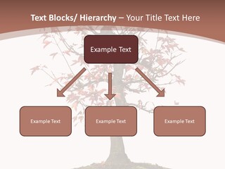 Big Abstract House PowerPoint Template