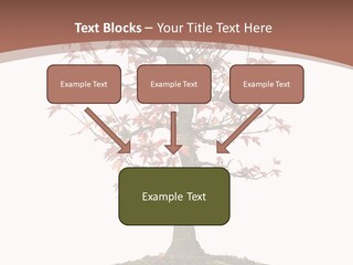 Big Abstract House PowerPoint Template