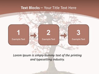 Big Abstract House PowerPoint Template